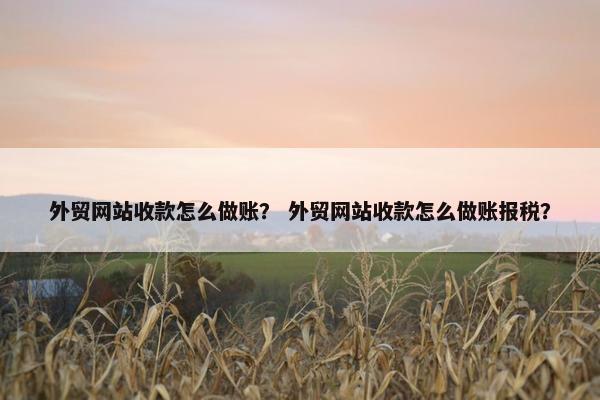 外贸网站收款怎么做账？ 外贸网站收款怎么做账报税？