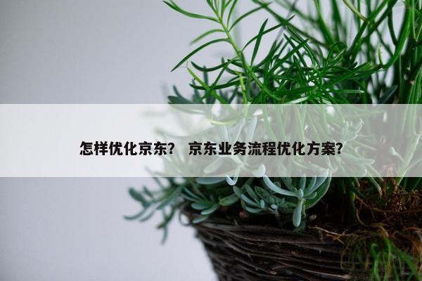怎样优化京东？ 京东业务流程优化方案？
