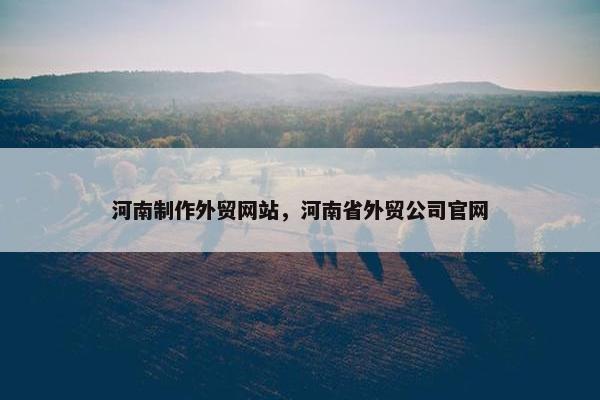 河南制作外贸网站，河南省外贸公司官网
