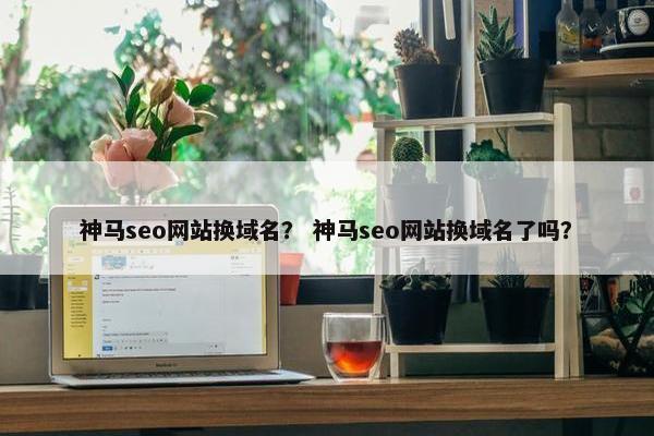 神马seo网站换域名？ 神马seo网站换域名了吗？