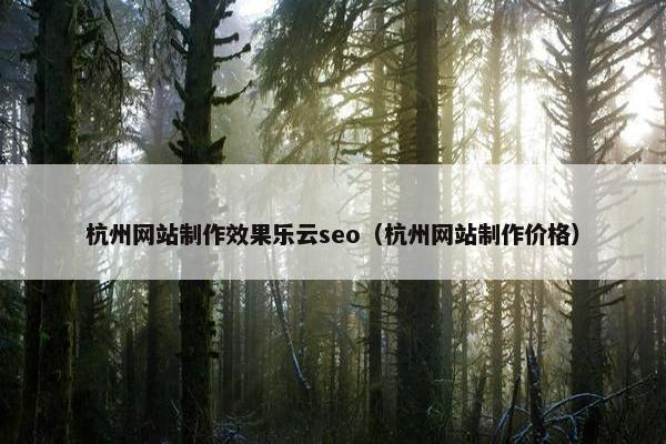 杭州网站制作效果乐云seo（杭州网站制作价格）