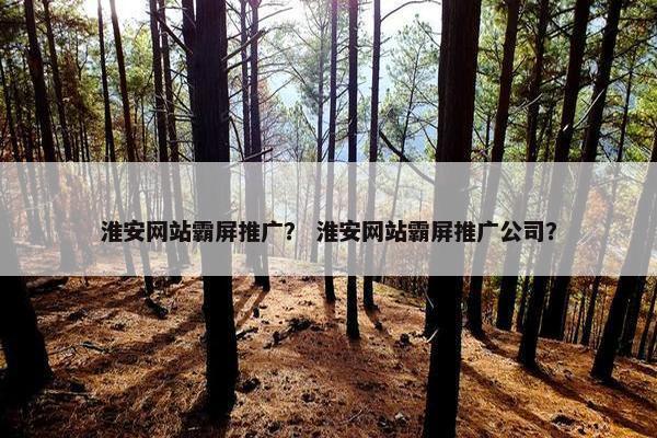 淮安网站霸屏推广？ 淮安网站霸屏推广公司？