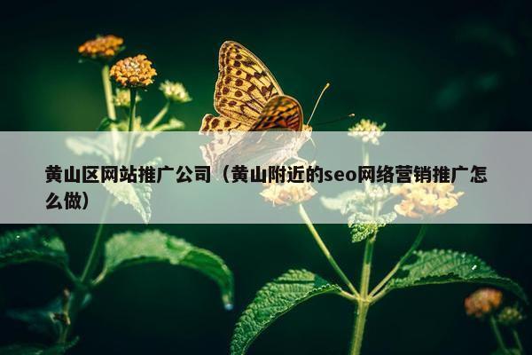 黄山区网站推广公司（黄山附近的seo网络营销推广怎么做）