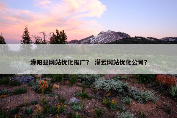 灌阳县网站优化推广？ 灌云网站优化公司？