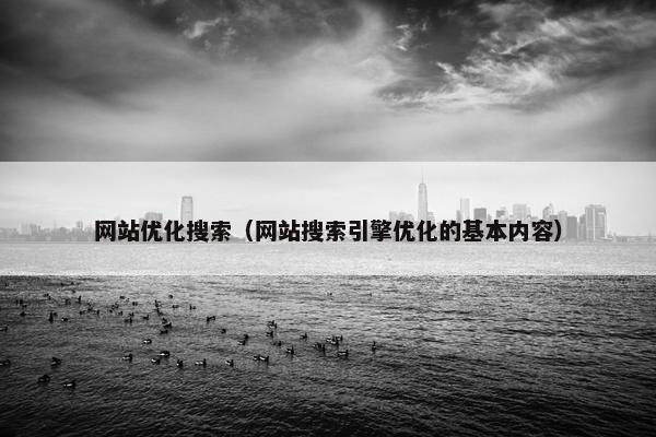网站优化搜索（网站搜索引擎优化的基本内容）