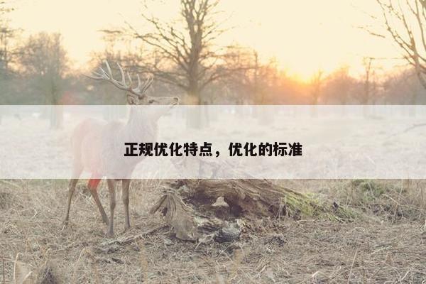 正规优化特点，优化的标准