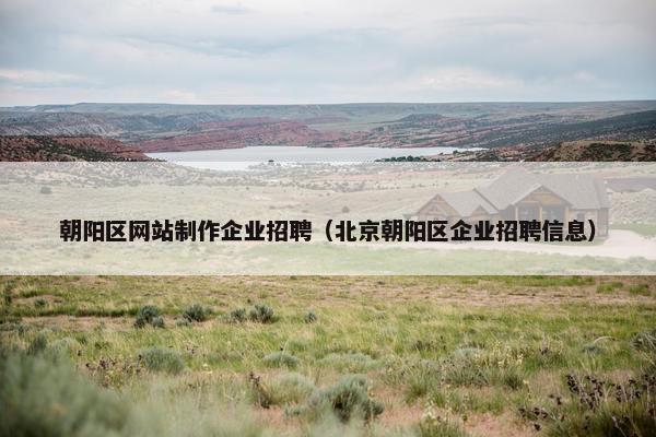 朝阳区网站制作企业招聘（北京朝阳区企业招聘信息）