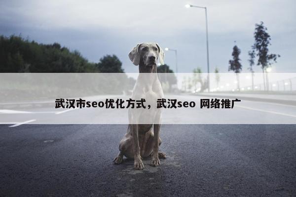 武汉市seo优化方式，武汉seo 网络推广