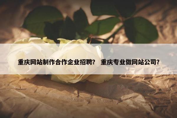 重庆网站制作合作企业招聘？ 重庆专业做网站公司？