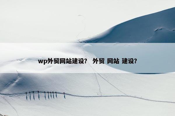 wp外贸网站建设？ 外贸 网站 建设？
