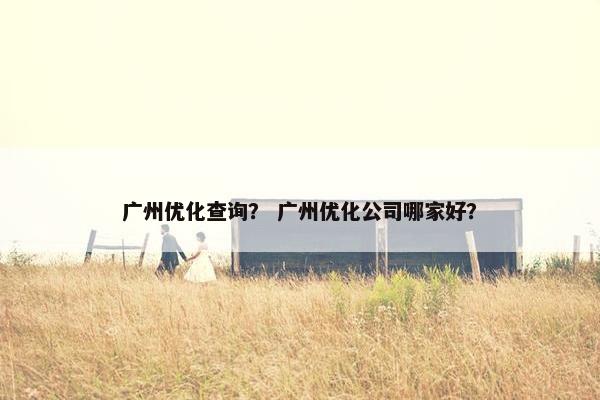 广州优化查询？ 广州优化公司哪家好？