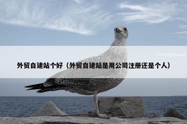外贸自建站个好（外贸自建站是用公司注册还是个人）