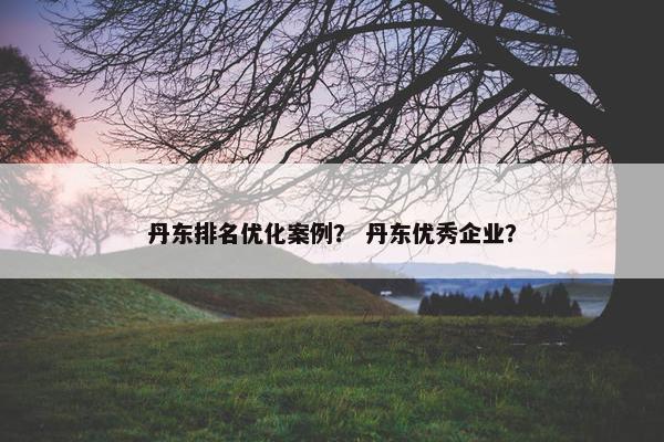 丹东排名优化案例？ 丹东优秀企业？