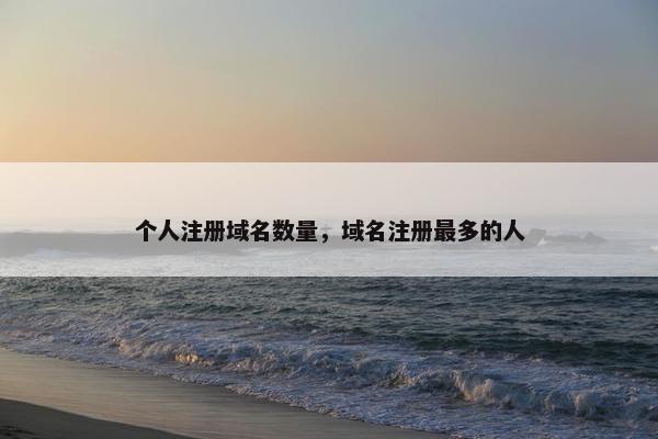 个人注册域名数量，域名注册最多的人