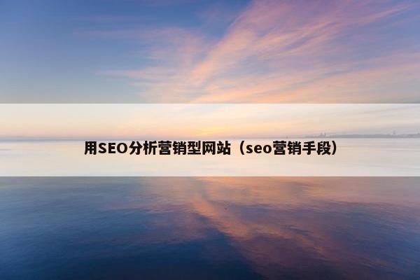 用SEO分析营销型网站(seo营销手段) 用SEO分析营销型网站(seo营销手段)