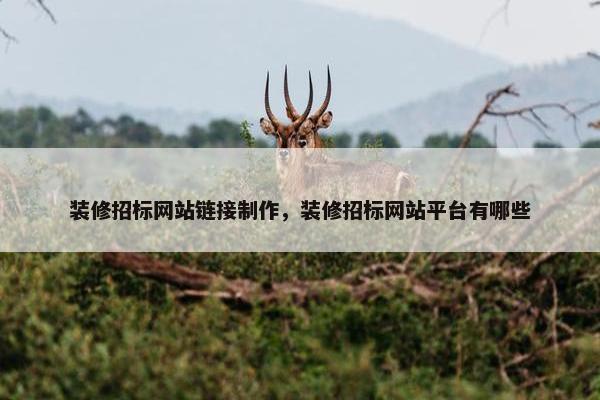 装修招标网站链接制作，装修招标网站平台有哪些