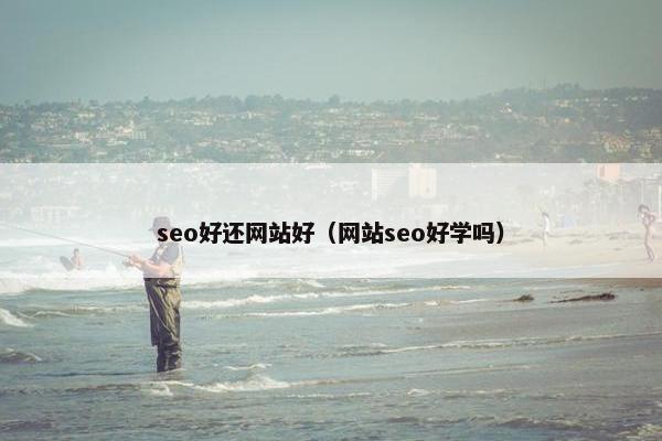 seo好还网站好（网站seo好学吗）