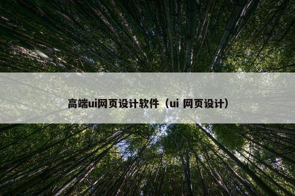 高端ui网页设计软件（ui 网页设计）
