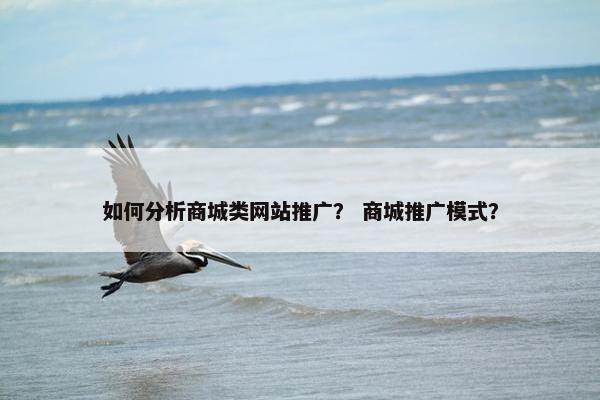 如何分析商城类网站推广？ 商城推广模式？