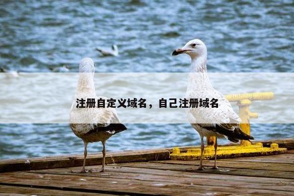 注册自定义域名，自己注册域名