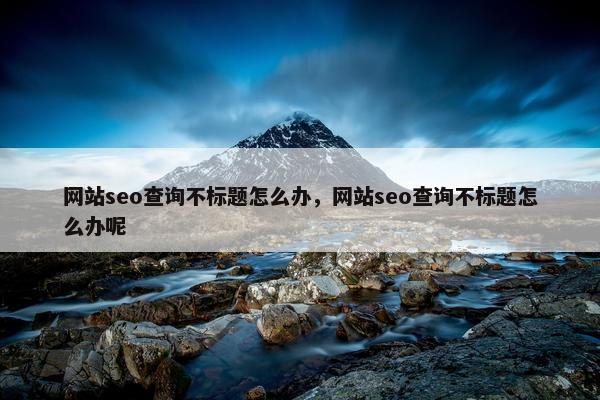 网站seo查询不标题怎么办，网站seo查询不标题怎么办呢