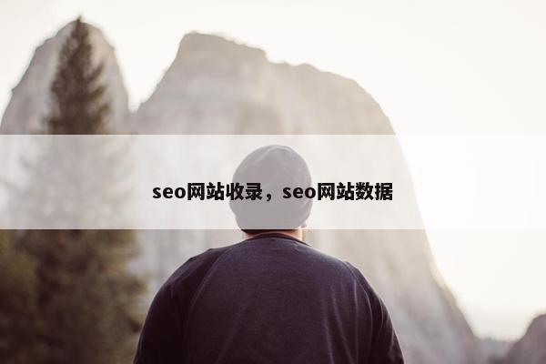 seo网站收录，seo网站数据