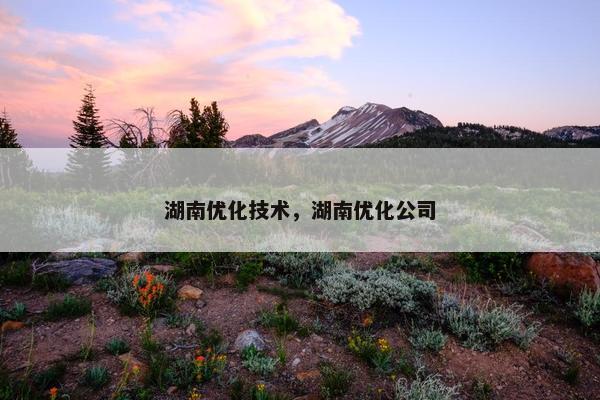 湖南优化技术，湖南优化公司