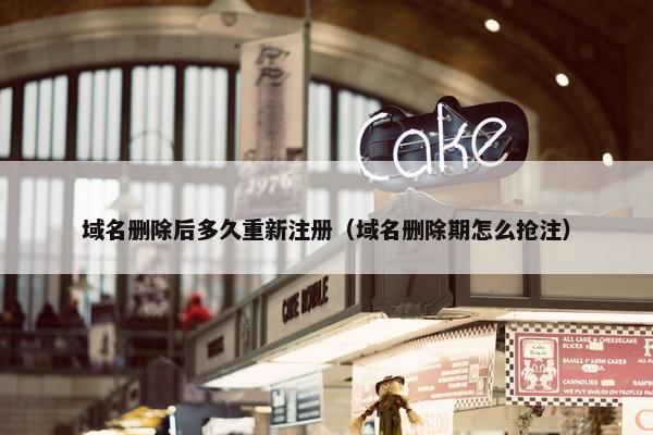 域名删除后多久重新注册（域名删除期怎么抢注）