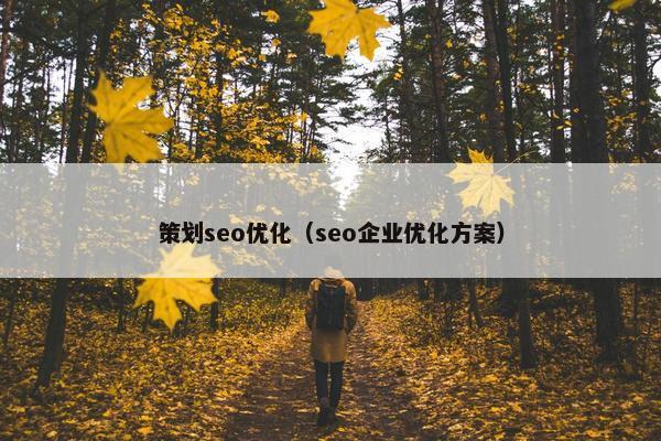 策划seo优化（seo企业优化方案）