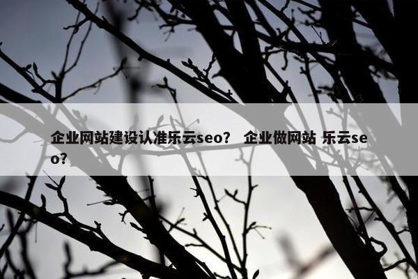 企业网站建设认准乐云seo？ 企业做网站 乐云seo？
