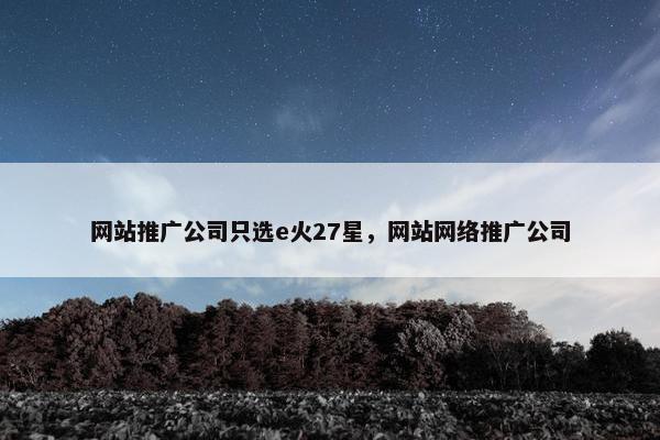 网站推广公司只选e火27星，网站网络推广公司