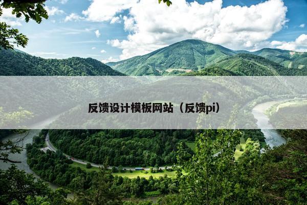 反馈设计模板网站（反馈pi）