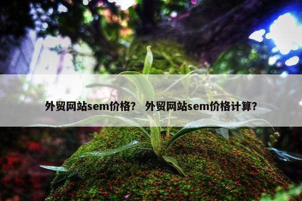 外贸网站sem价格？ 外贸网站sem价格计算？