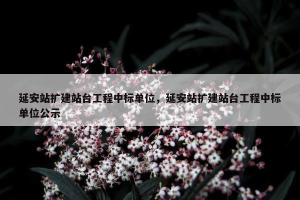 延安站扩建站台工程中标单位，延安站扩建站台工程中标单位公示