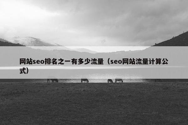 网站seo排名之一有多少流量（seo网站流量计算公式）