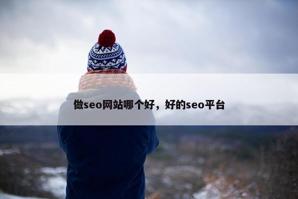 做seo网站哪个好，好的seo平台