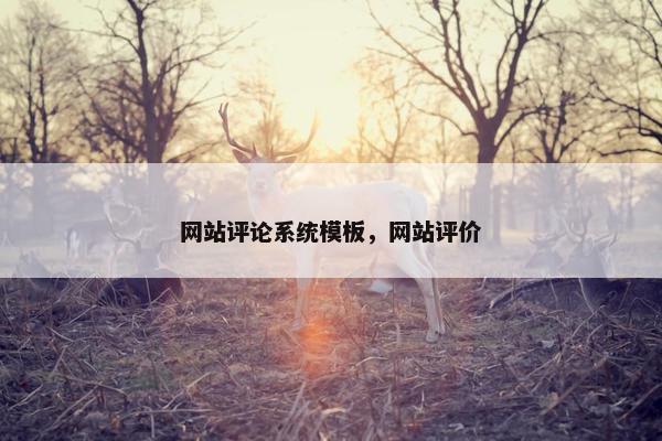 网站评论系统模板，网站评价