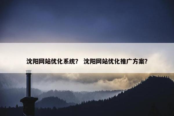 沈阳网站优化系统？ 沈阳网站优化推广方案？
