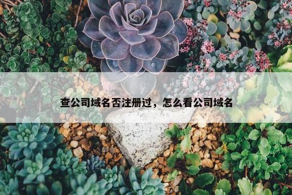 查公司域名否注册过，怎么看公司域名