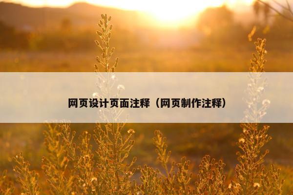 网页设计页面注释（网页制作注释）