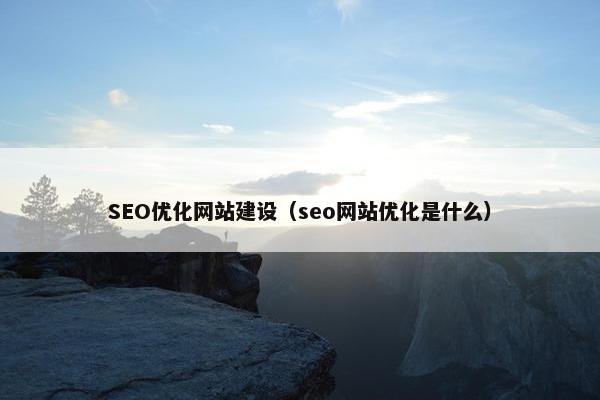 SEO优化网站建设（seo网站优化是什么）