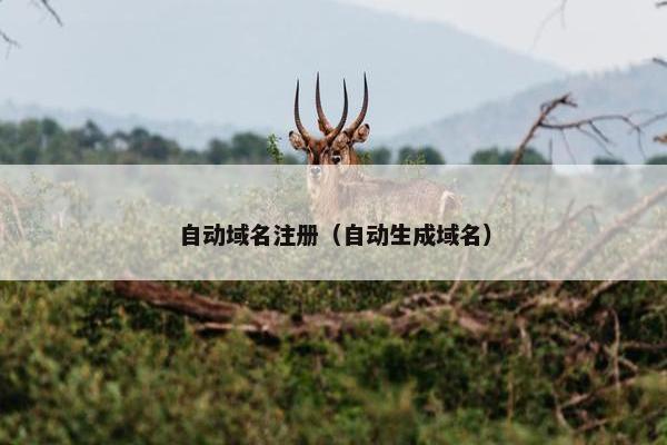 自动域名注册（自动生成域名）