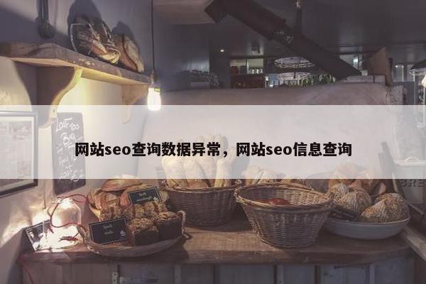 网站seo查询数据异常，网站seo信息查询