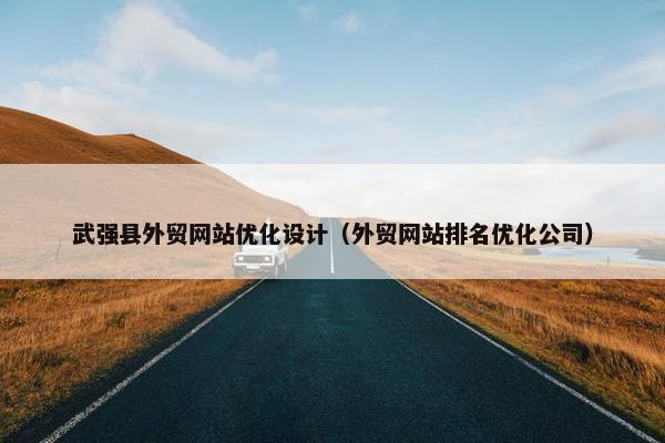 武强县外贸网站优化设计（外贸网站排名优化公司）