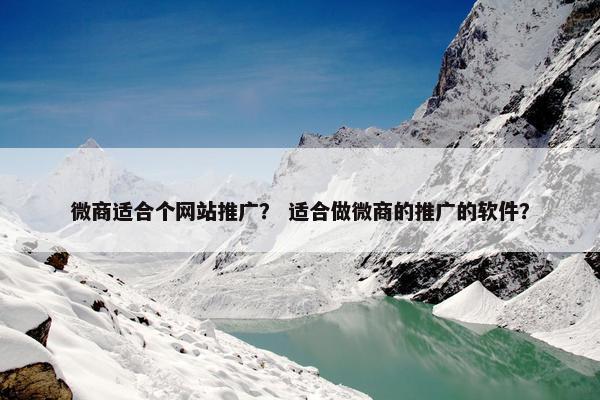 微商适合个网站推广？ 适合做微商的推广的软件？