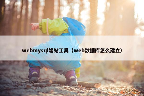 webmysql建站工具（web数据库怎么建立）