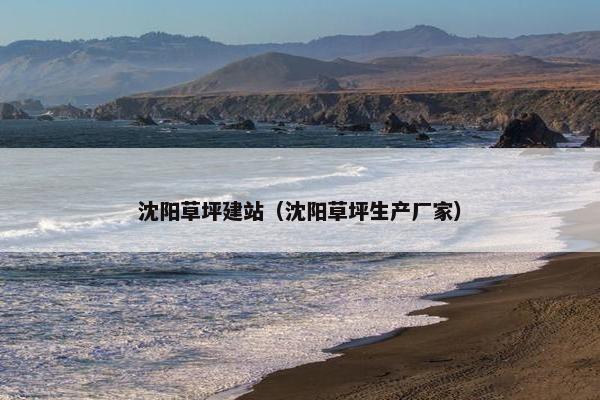 沈阳草坪建站（沈阳草坪生产厂家）