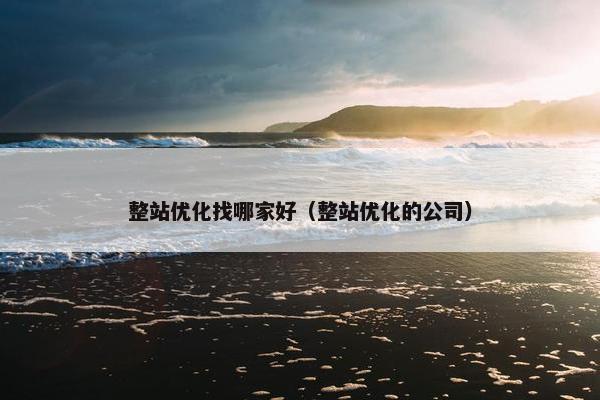 整站优化找哪家好（整站优化的公司）