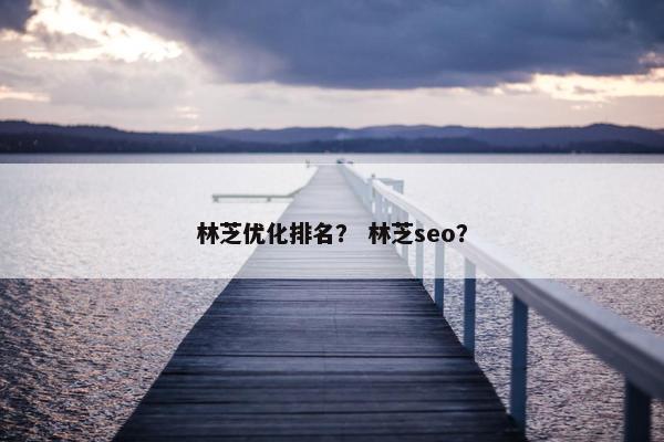 林芝优化排名？ 林芝seo？