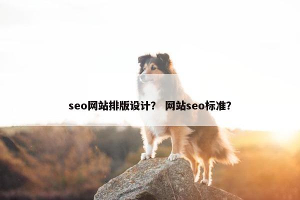 seo网站排版设计？ 网站seo标准？